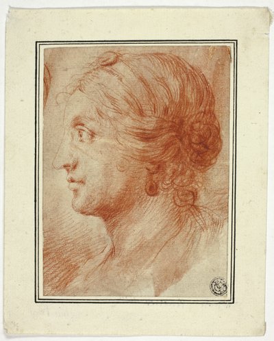 Busto de Mulher de Perfil à Esquerda de Godfrey Kneller