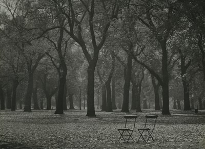 Árvores de outono no Hyde Park, Londres de Godfrey Macdominic