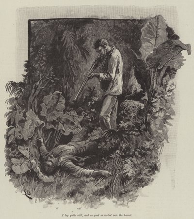 Uma, ou a praia de Falesa, por Robert Louis Stevenson de Gordon Frederick Browne