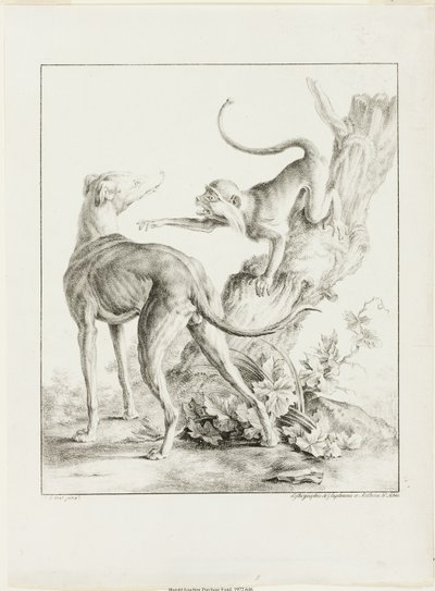 cachorro e macaco de Gottfried Engelmann