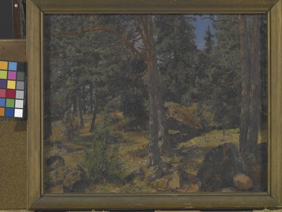 Um Banco Fir (óleo sobre tela) de Gottfried Kallstenius