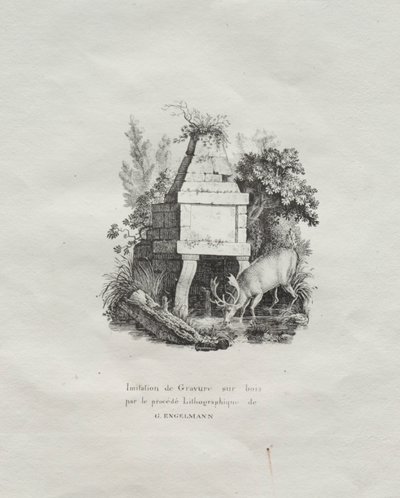 Impressões litográficas Receuil: Uma fonte imitando gravura em madeira, c. 1816. de Gottfried or Godefroy Engelmann