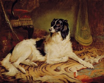 Minna, uma cadela preferida de James, Marquês de Dalhousie. de Gourlay Steel