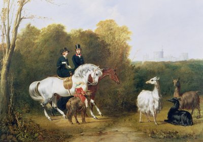 Rainha Victoria (1819-1901) e Príncipe Albert (1819-61) Visualizando os Lhamas no Parque da Casa, Windsor, c.1845 de Gourlay Steel