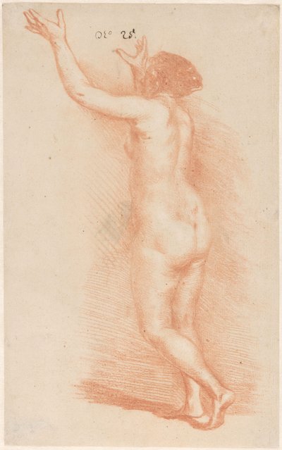 Mulher em pé com os braços levantados de Govert Flinck (attributed to)