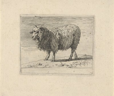 Ram
Diversos dieren (título da série) de Govert van der Leeuw