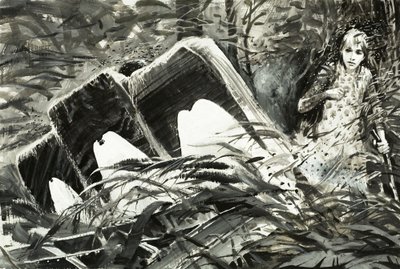 Survival: Perdidos na Selva de Graham Coton