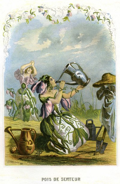 Ilustração para "Les Fleurs Animees". de Grandville (1803-47)