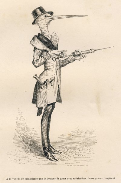 A Cegonha como médica a lidar com um clister. Vinhetas ilustradas por JJ Granville. Gravura assinada por Andrew, Best e Leloir na parte intitulada "Peines de cour d