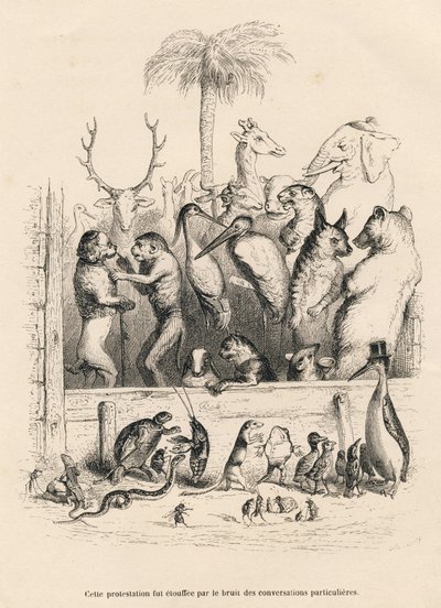 Conversa entre os animais . Vinhetas ilustradas por JJ Granville. Gravura assinada Breviere no prólogo intitulado "Resume parlementaire" escrito por PJ Stahl em "Scenes de la vie privee et publique des animaux". Paris, J. Hetzel e Paulin de Grandville