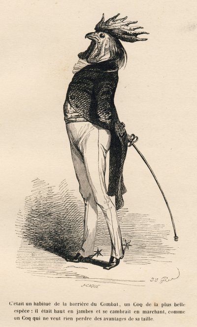 Galo acostumado ao campo de batalha barriere orgulhosamente negociando. Vinhetas ilustradas por JJ Granville. Gravura assinada Caque na parte "Histoire d