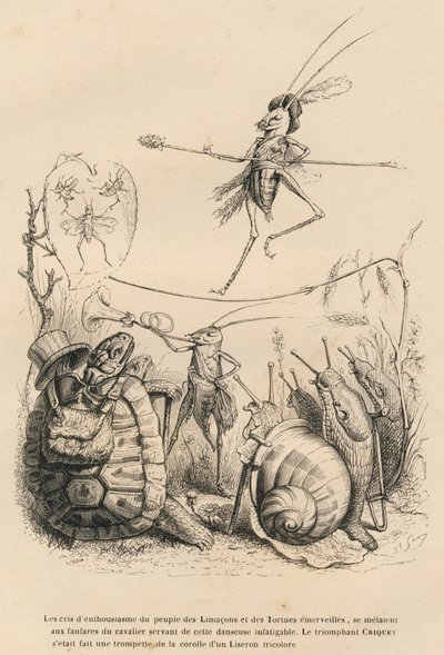 Críquete tocando trompete na frente de uma tartaruga, um caracol e caracóis. Acima dele, outro grilo está andando sobre um fio. Vinhetas ilustradas por JJ Granville. Gravura assinada Godard, na parte intitulada "As aventuras de uma borboleta de Grandville
