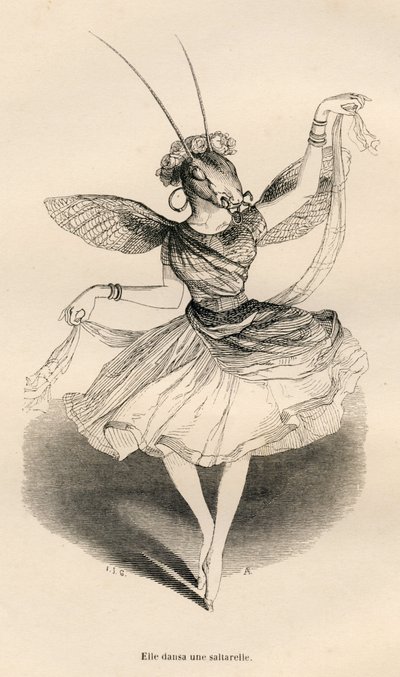 Ela dançou uma saltarela. Vinhetas ilustradas por JJ Granville. Gravura assinada por Andrew, Best e Leloir na parte intitulada "Les aventures d