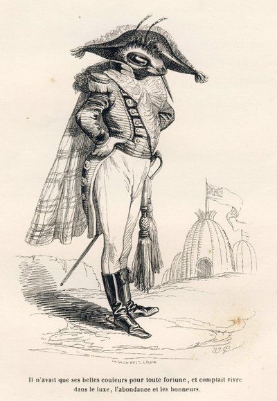 Ele tinha apenas suas belas cores para qualquer fortuna e pretendia viver em luxo, abundância e honras. Vinhetas ilustradas por JJ Granville. Gravura assinada por Andrew, Best e Leloir na parte intitulada "Voyage d
