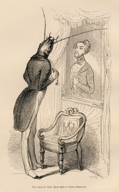 Insecto a olhar para o seu reflexo humano no espelho). Vinhetas ilustradas por JJ Granville. Gravura assinada por Andrew, Best e Leloir na parte intitulada "Les aventures d