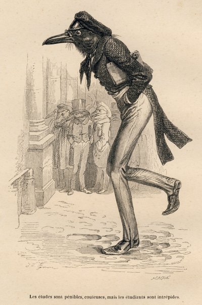 Os estudos são dolorosos, caros, mas os alunos são intrépidos. Vinhetas ilustradas por JJ Granville. Gravura assinada Caque na parte intitulada "Les animaux medecins" escrita por Pierre Bernard em "Scenes de la vie privee et publique des animau de Grandville