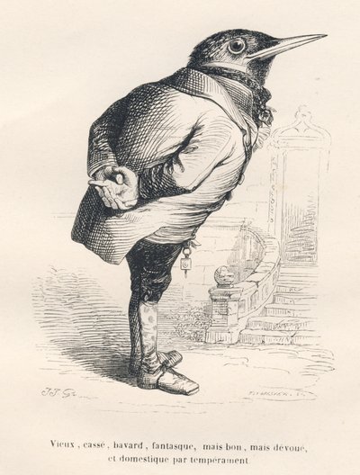 Merle "velho, quebrado, falador, caprichoso, mas bom, mas devoto e doméstico por temperamento". Vinhetas ilustradas por JJ Granville. Gravura assinada por Tamisier na parte intitulada "Souvenirs d