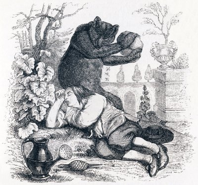 O urso e o amante do jardim - Fábulas de La Fontaine de Grandville