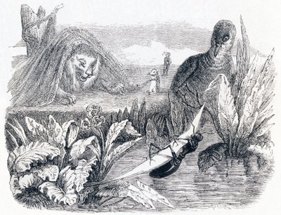 A pomba e a formiga (La colombe et la fourmi) - Fábulas de La Fontaine de Grandville