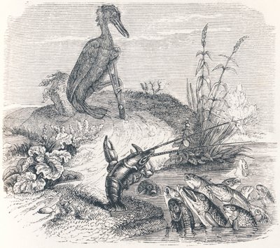 Os peixes e o corvo-marinho - Fábulas de La Fontaine de Grandville