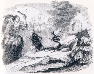A mosca e a formiga (La mouche et la fourmi) - Fábulas de La Fontaine de Grandville
