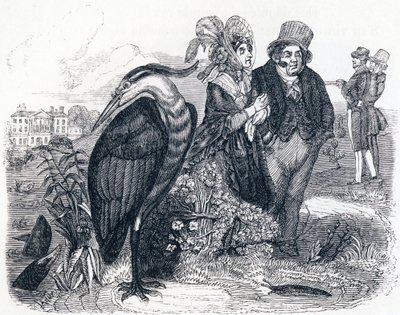 The heron (le Heron) - Fábulas de La Fontaine de Grandville
