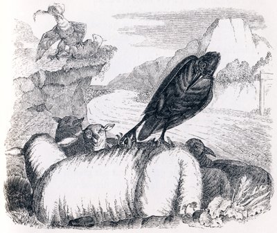 O corvo que quer imitar a águia (le corbeau voulant imiter l