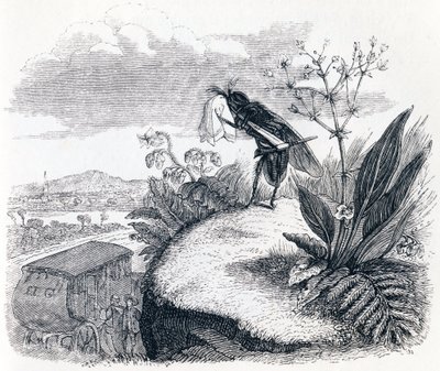 A carraça e a mosca - Fábulas de La Fontaine de Grandville