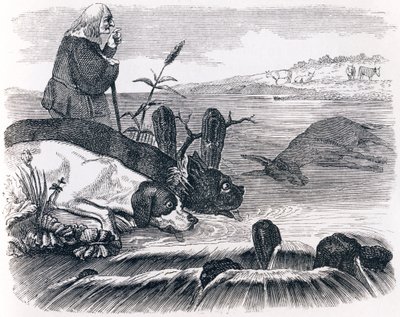 Os dois cães e o burro morto - Fábulas de La Fontaine de Grandville