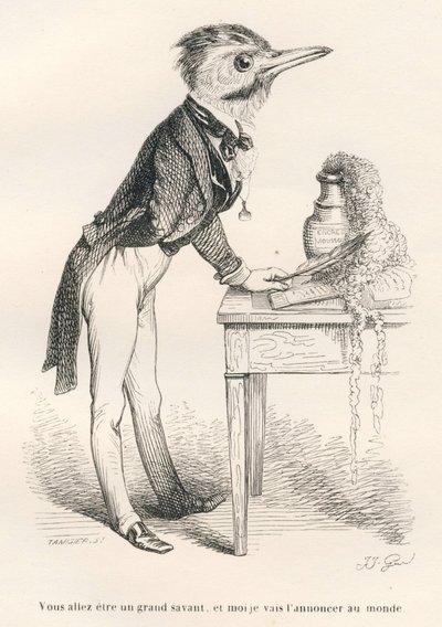 Você vai ser um grande cientista, e eu vou anunciá-lo ao mundo. Vinhetas ilustradas por JJ Granville. Gravura assinada Tamisier na parte intitulada "Guide-ane a l