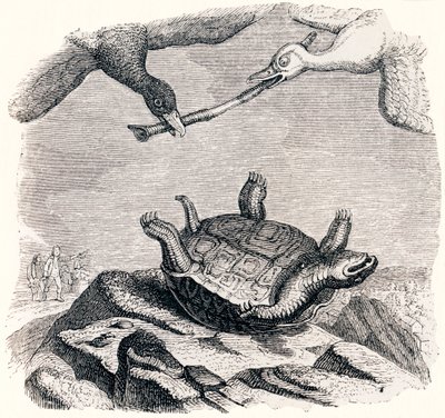 a tartaruga e os dois patos (La tortue et les deux canards) - Fábulas de La Fontaine de Grandville