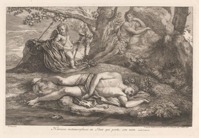 Narciso em Eco Narciso metamorfoseado em uma flor que leva seu nome (título no objeto) de Gérard Audran