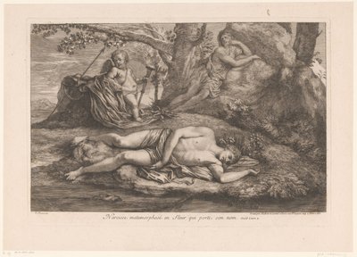 Narciso em Eco
Narciso metamorfosado na flor que leva o seu nome (título no objecto) de Gérard Audran