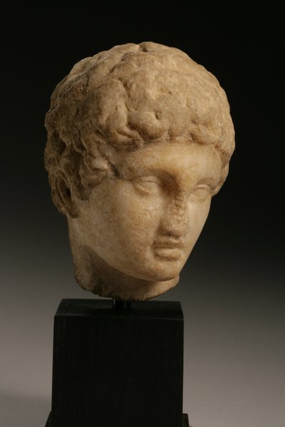 Cabeça de um príncipe, período helenístico, 4º a 3º século aC (mármore) de Greek