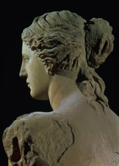 Vênus de Milo, detalhe da parte de trás da cabeça, período helenístico, c.100 aC, mármore para visão frontal, ver 14152 de Greek