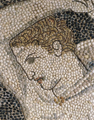 Cabeça de Krateros, c.320 BC (moasaic) (detalhe de 332175 & 419063) de Greek School