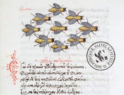 Ms 3402 Abelhas, de um bestiário por Manuel Philes, 1566 de Greek School