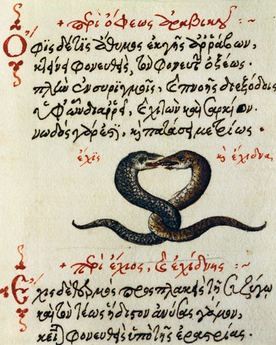 Acoplamento, teste e miniatura de De animalium natura et proprietate libellus, de Aelianus (Século 2-3 d.C.) de Greek School
