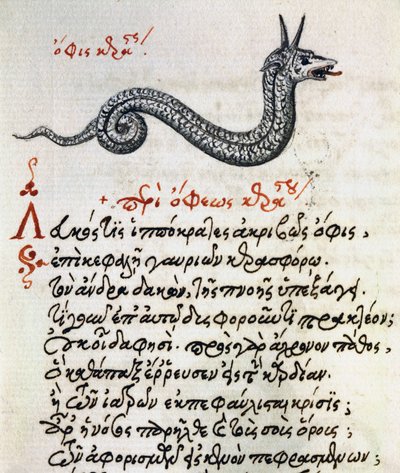 Tratado sobre Basilisco, teste e miniatura de De animalium natura et proprietate libellus, de Aelianus (Século 2-3 d.C.) de Greek School