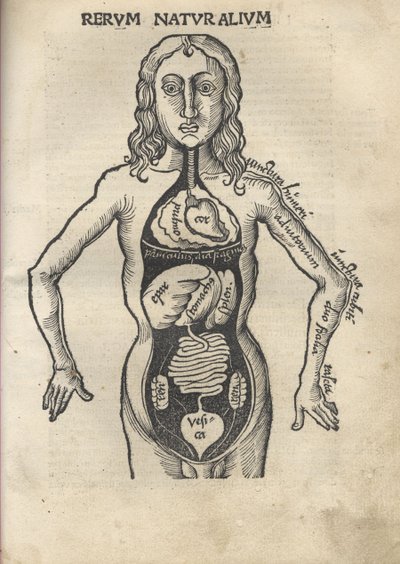 pérola Ex. Anatomia de 1504 de Gregor Reisch