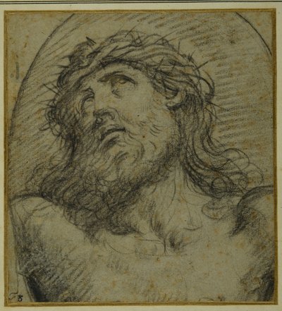 Cabeça e ombros do Cristo vivo crucificado (giz preto na carta azzurra) de Guido Reni