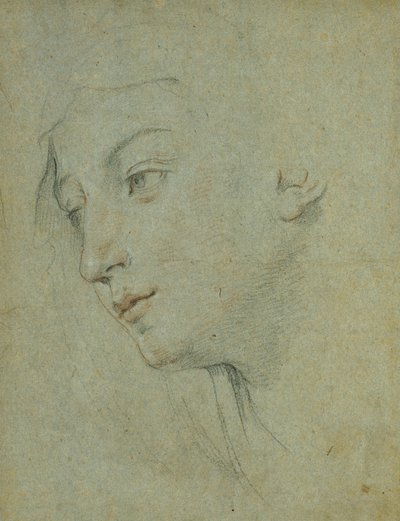 A cabeça de uma mulher olhando para a esquerda, de Guido Reni