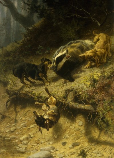 Dachshunds em um texugo, 1882 de Guido von Maffei