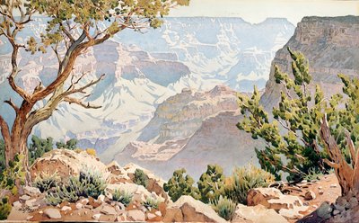 Grand Canyon (w - c a bordo) de Gunnar Widforss
