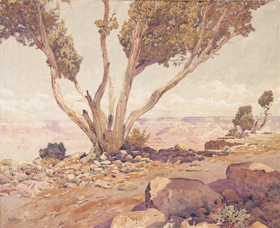 Grand Canyon de Gunnar Widforss