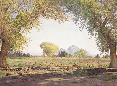 O Vale do Rio Salgado (w - c e guache no papel) de Gunnar Widforss
