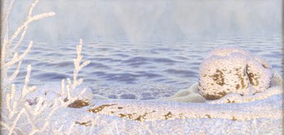 O primeiro sopro de frio na água de Gustaf Fjæstad