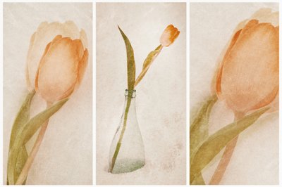 Natureza morta com delicadas tulipas de Gustav Davidsson
