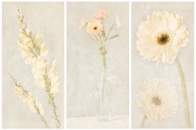 Tríptico floral desbotado de Gustav Davidsson