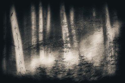 Sonho da Floresta Enevoada de Gustav Davidsson
